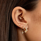 Daith Panthère Blanche - 2