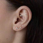 Rook Flocon - 2