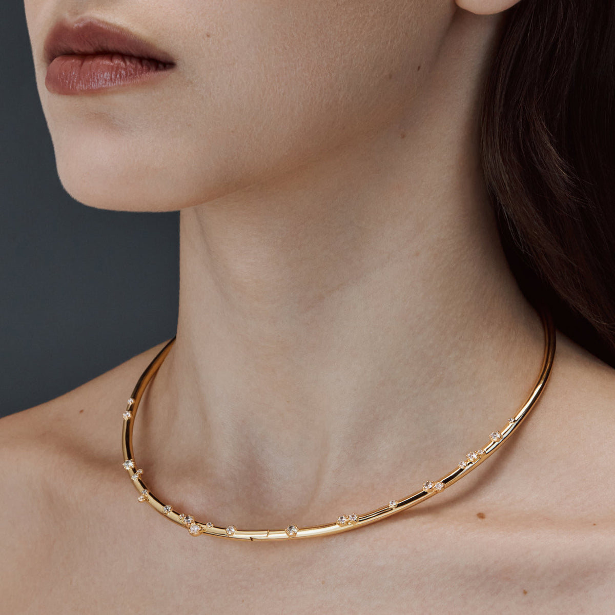 Collier Polaire - 2